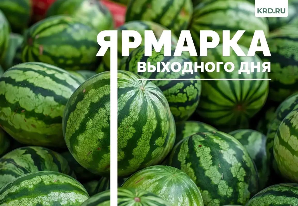 15 августа в Краснодаре заработают четыре ярмарки выходного дня