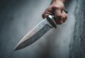 В Ростовской области 21-летний местный житель обвиняется в убийстве 14-летней девочки