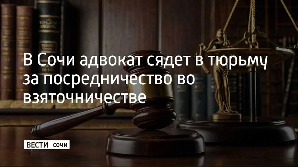 С 2023 по 2024 год адвокат получила от сочинца 18,7 млн рублей, чтобы вышестоящие суды помогли отменить решение Лазаревского районного суда Сочи, который постановил снести принадлежащую ему недвижимость