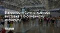 В аэропорту Сочи открылась выставка "По семейному маршруту"