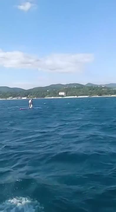 Унесло в открытое море. В Туапсинском округе за два дня спасатели дважды выручали отдыхающих, которых сильный ветер уносил в открытое море на сап-бордах