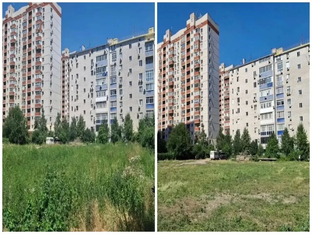 В Краснодаре выкосили более 30 тысяч гектаров сорняков В Краснодаре выкосили более 30 тысяч гектаров сорняков