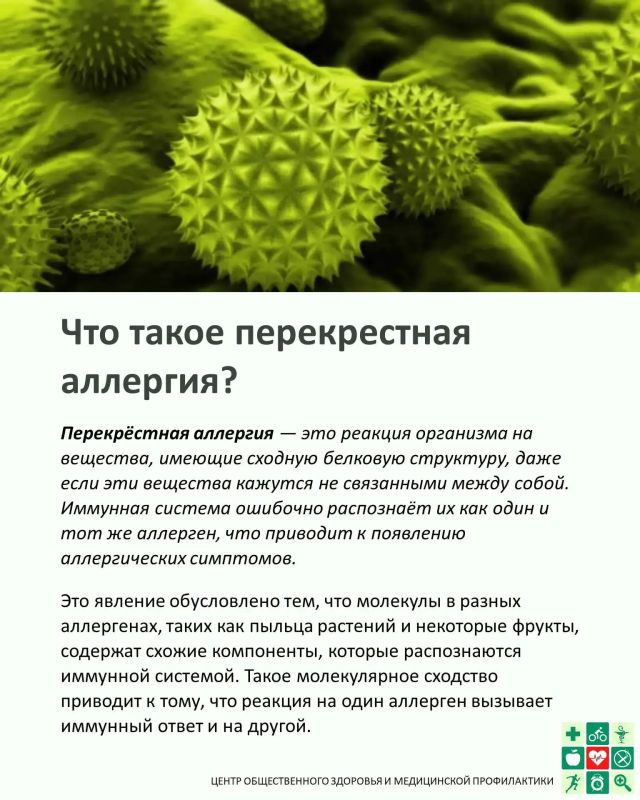 А вы точно чихаете из-за амброзии? А вы точно чихаете из-за амброзии?