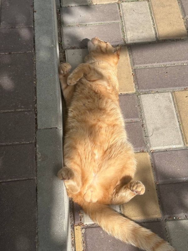 Добре утро, Кубань!. Краснодар +32 °С Добре утро, Кубань!. Краснодар +32 °С