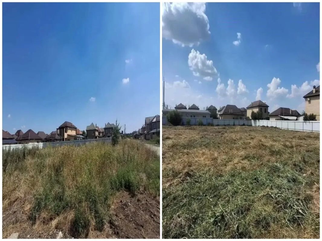 В Краснодаре выкосили более 30 тысяч гектаров сорняков В Краснодаре выкосили более 30 тысяч гектаров сорняков
