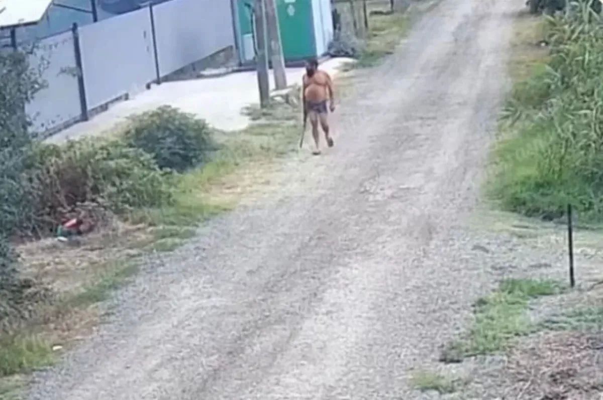 Мужчина расстрелял кота из пневматики в Краснодаре