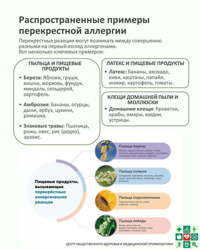 А вы точно чихаете из-за амброзии? А вы точно чихаете из-за амброзии?