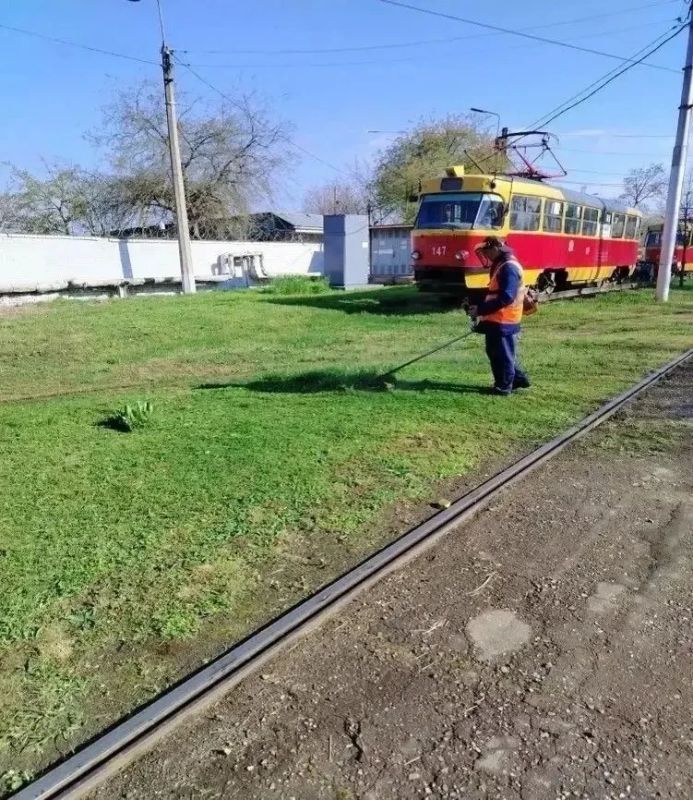 В Краснодаре выкосили более 30 тысяч гектаров сорняков В Краснодаре выкосили более 30 тысяч гектаров сорняков