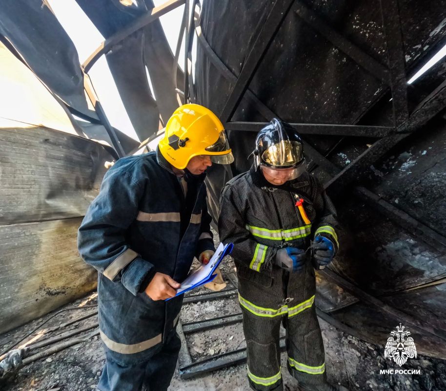 ИПЛ Краснодарского края: профессиональная экспертиза пожаров ИПЛ Краснодарского края: профессиональная экспертиза пожаров