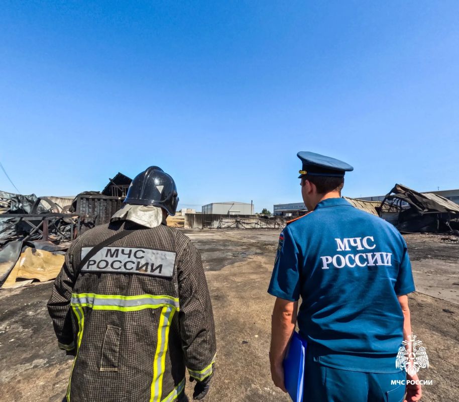 ИПЛ Краснодарского края: профессиональная экспертиза пожаров ИПЛ Краснодарского края: профессиональная экспертиза пожаров