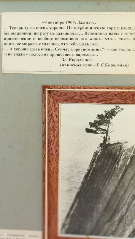 Литературная гостиная в доме-музея писателя Литературная гостиная в доме-музея писателя