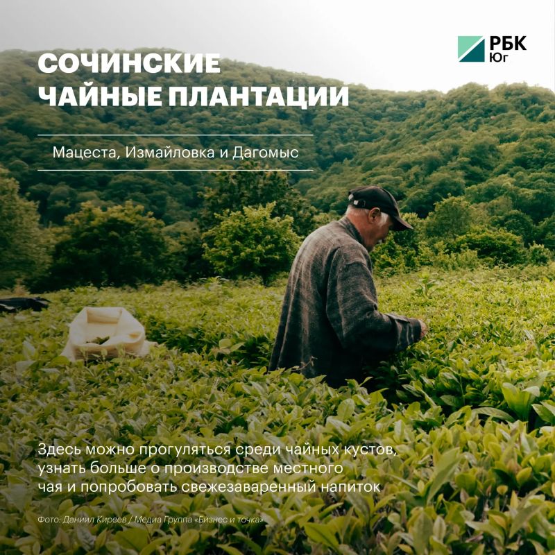Сочи, который стоит увидеть по-новому Сочи, который стоит увидеть по-новому