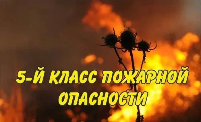 Внимание!!! Жители и гости Ейского района!!!