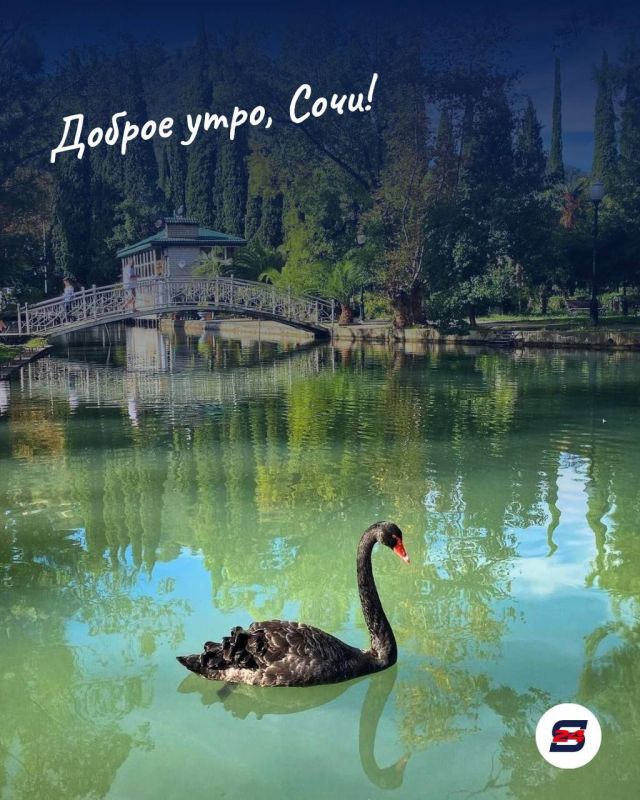 Доброе утро, Сочи!. Пусть сегодняшний день будет красивым во всех мелочах — от первого луча солнца до вечерней прогулки у моря