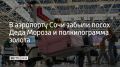За семь месяцев в бюро находок аэропорта Сочи попали 7,6 тысячи забытых пассажирами вещей, в том числе посох Деда Мороза и 500 граммов золота, сообщили в Ассоциации туроператоров России
