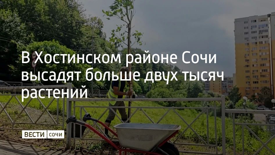 В Хостинском районе Сочи высадят больше двух тысяч растений