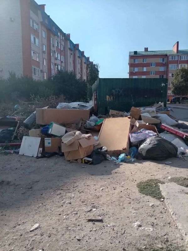 В течение дня ейские коммунальщики наводят санитарный порядок в разных уголках города В течение дня ейские коммунальщики наводят санитарный порядок в разных уголках города
