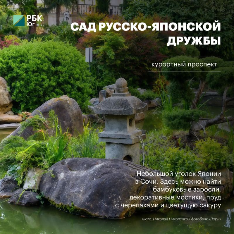 Сочи, который стоит увидеть по-новому Сочи, который стоит увидеть по-новому