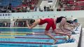 За каждым чемпионским касанием бортика скрываются сотни километров воды, железная воля пловца и годы, которые наставник вложил в его характер