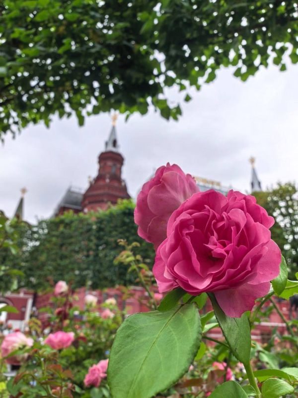 О погоде на 21 августа. В Краснодарском крае переменная облачность О погоде на 21 августа. В Краснодарском крае переменная облачность