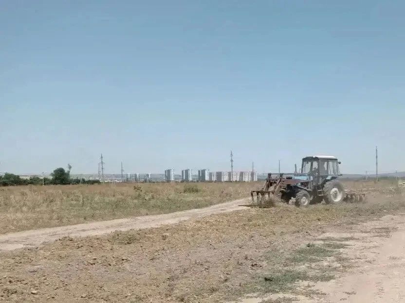 В Анапе продолжается борьба с амброзией В Анапе продолжается борьба с амброзией