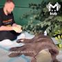 Состояние еле живого медвежонка с Красной Поляны остаётся настабильным