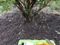 ��� ����� ������ �� ���� �� �����: ������ ������ �� ���������