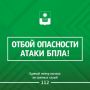 Алексей Богодистов: Угроза атаки беспилотных летательных аппаратов в Геленджике снята