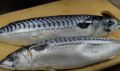 Нежная скумбрия с изысканным маринадом: кулинарный хит на вашей кухне