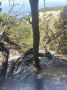 ����� ������� ��-�� ������� �������� ���� � ����������� ��� ������
