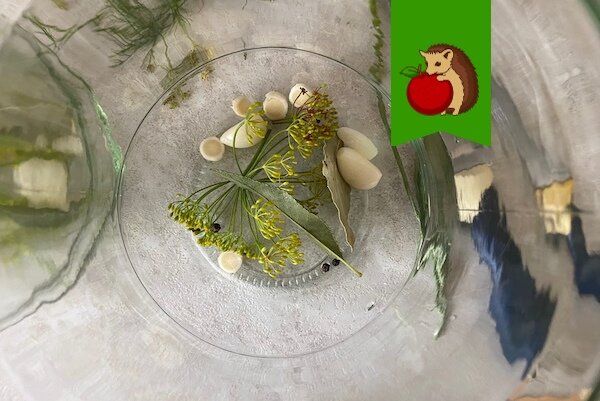 Секреты успешного консервирования огурцов: 6 незаменимых ингредиентов
