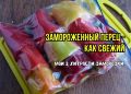 Как правильно замораживать перец: три ключевых ошибки, которые могут испортить вкус