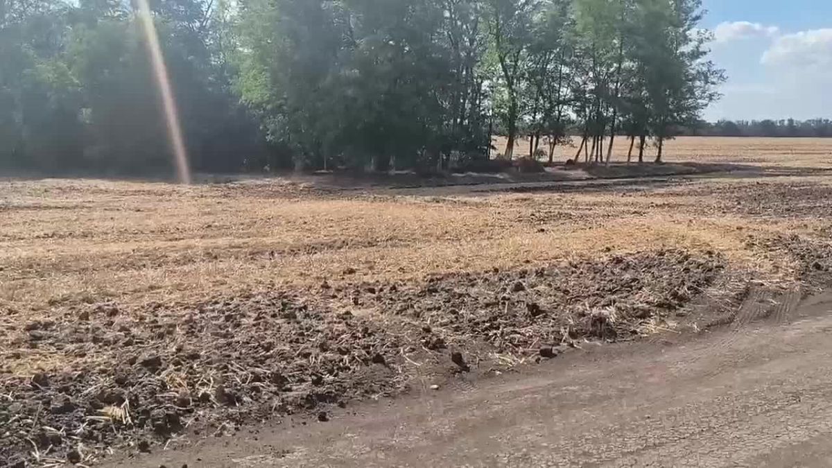 В Выселковском районе росгвардейцы уничтожили три боеприпаса времён Великой Отечественной войны