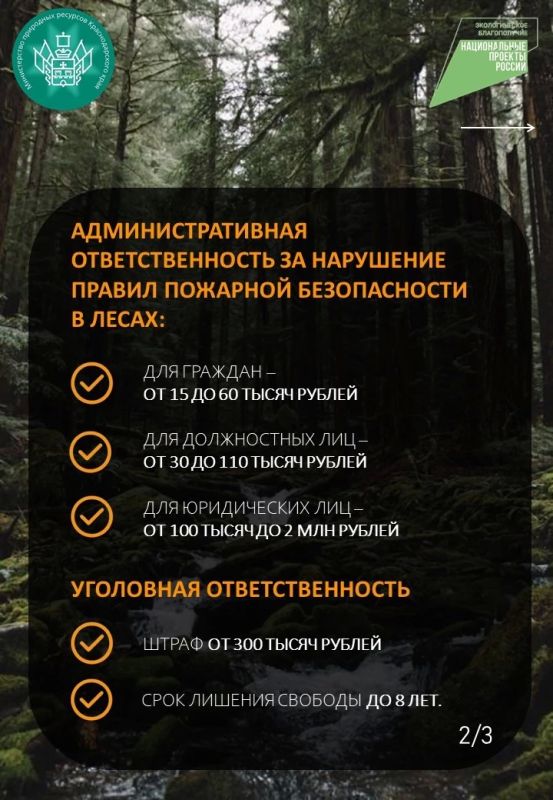 ОГРАНИЧЕНИЯ ПРЕБЫВАНИЯ ГРАЖДАН В ЛЕСАХ ПРОДОЛЖАЮТ ДЕЙСТВОВАТЬ ОГРАНИЧЕНИЯ ПРЕБЫВАНИЯ ГРАЖДАН В ЛЕСАХ ПРОДОЛЖАЮТ ДЕЙСТВОВАТЬ