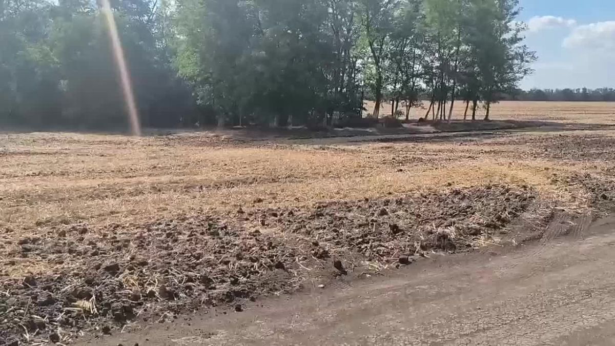 Три боеприпаса Великой Отечественной войны были уничтожены росгвардейцами в Выселковском районе