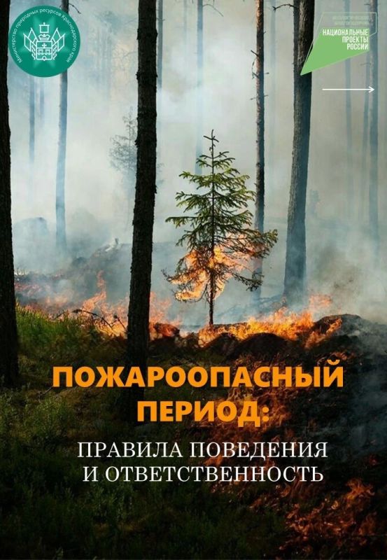 ОГРАНИЧЕНИЯ ПРЕБЫВАНИЯ ГРАЖДАН В ЛЕСАХ ПРОДОЛЖАЮТ ДЕЙСТВОВАТЬ