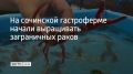 На сочинской гастроферме начали выращивать заграничных раков