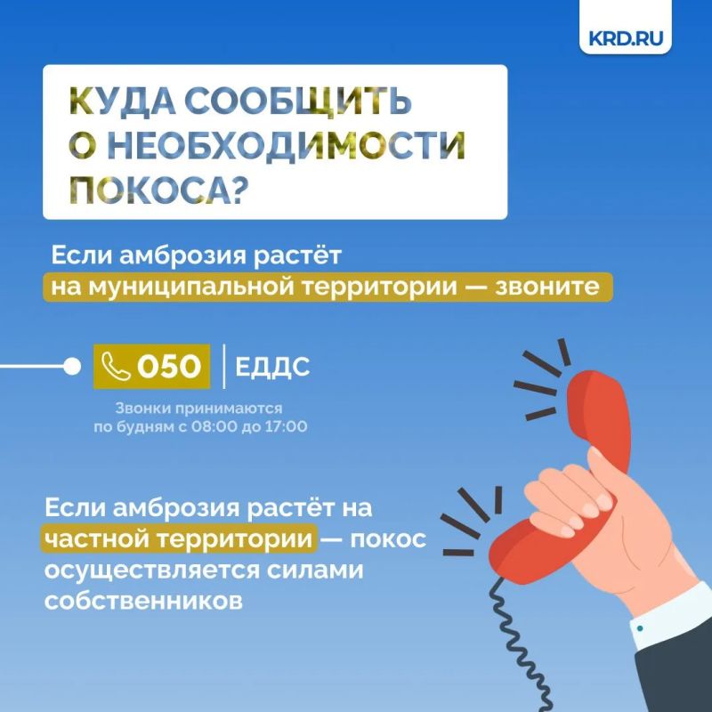 Установившаяся тёплая погода является благоприятными условиями для роста карантинной растительности Установившаяся тёплая погода является благоприятными условиями для роста карантинной растительности