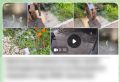 ����� ����� � ��������. . ��������� ������� ���� ���������������� � �����������, ���������� ����� ����� � ��������� ���������, ������ � ���� ������� ������������� �����