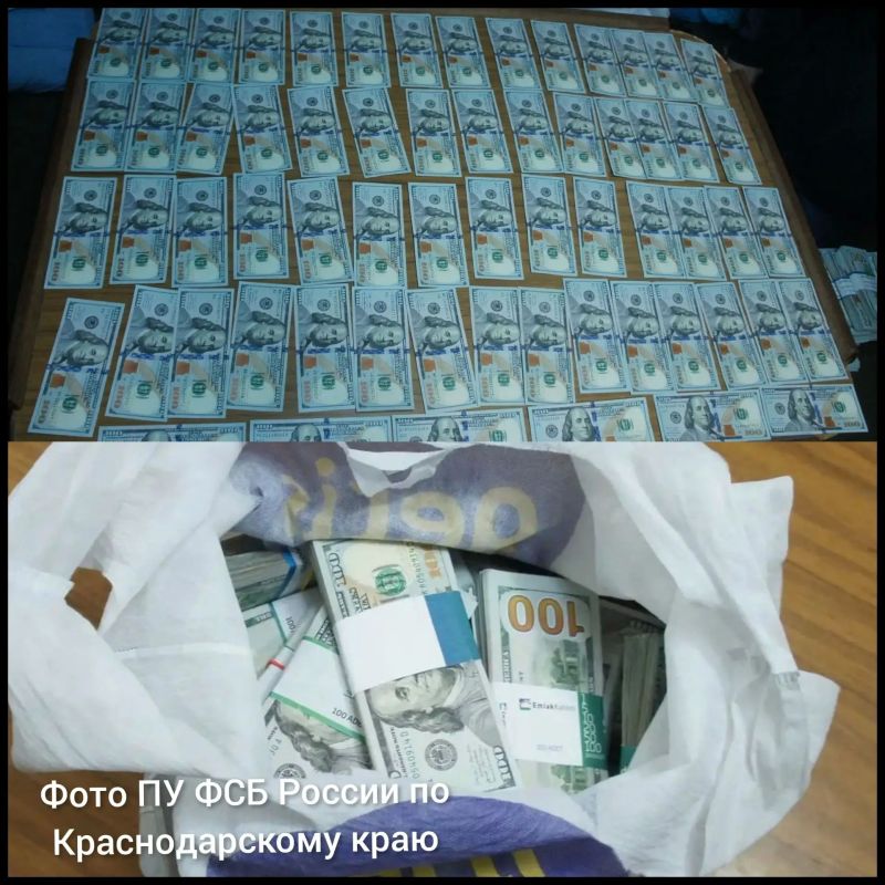 Спрятал 270 тыс. долларов в ведре: капитана теплохода осудили за контрабанду в Новороссийске