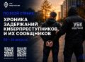 По всей стране: хроника задержаний киберпреступников и их сообщников