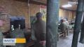 Формирование и подготовка мобильных огневых групп продолжается в Краснодаре