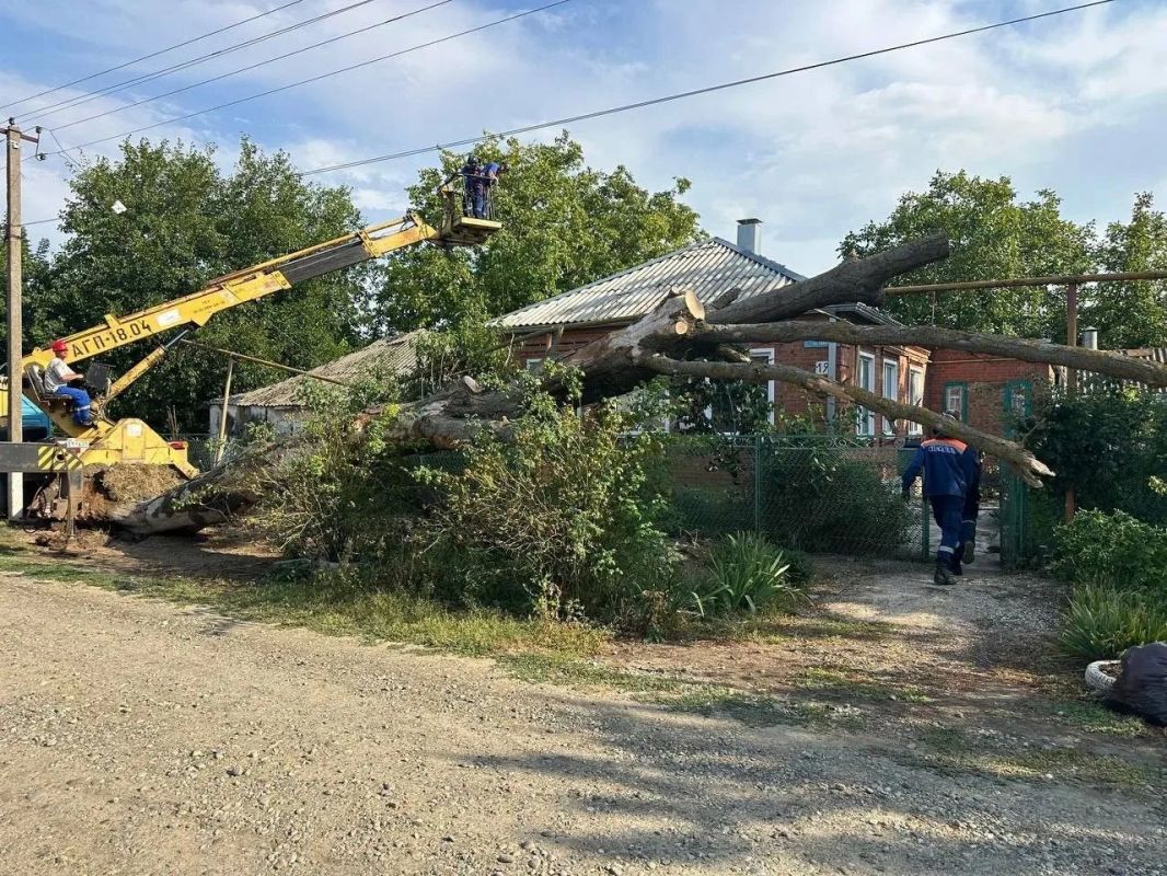 Упавшее на домовладение в ст. Ясенской Ейского района дерево убрали Упавшее на домовладение в ст. Ясенской Ейского района дерево убрали