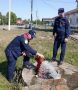 В преддверии Дня знаний и выборов в Государственную Думу РФ личный состав краевой противопожарной службы проводит обследование школ и избирательных участков