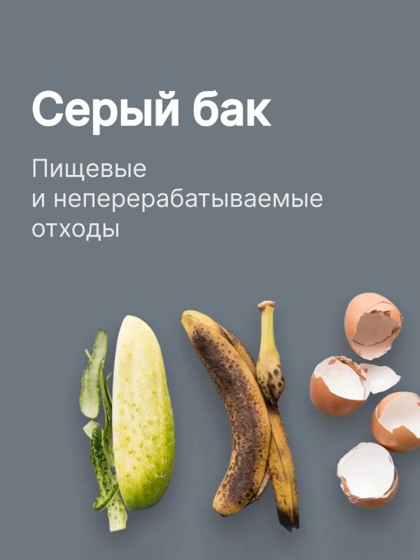 В Краснодарском крае запускают двухпоточную систему раздельного сбора ТКО В Краснодарском крае запускают двухпоточную систему раздельного сбора ТКО