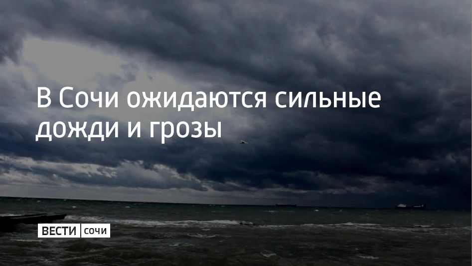 В Сочи и Сириусе 29 августа местами пройдут грозы, в предгорьях и горах могут начаться сильные дожди, сообщили в администрации курорта