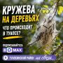 �������� �� �������� � ����� �� �������