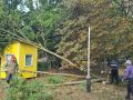 Сотрудники парка им.И.М.Поддубного в Ейске ликвидируют последствия сильного ветра