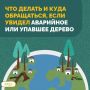 В городе усиливается ветер