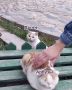 Идёте за овощами и фруктами?